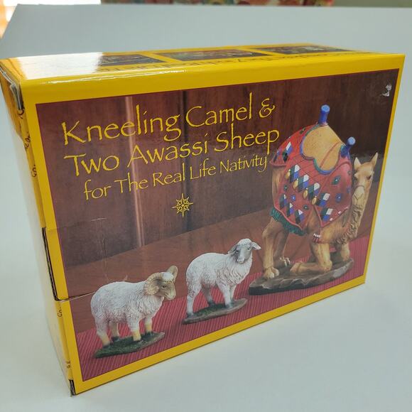 Real Life Nativity Kneeling Camel 2 Awassi Sheep - Picture 2 of 5